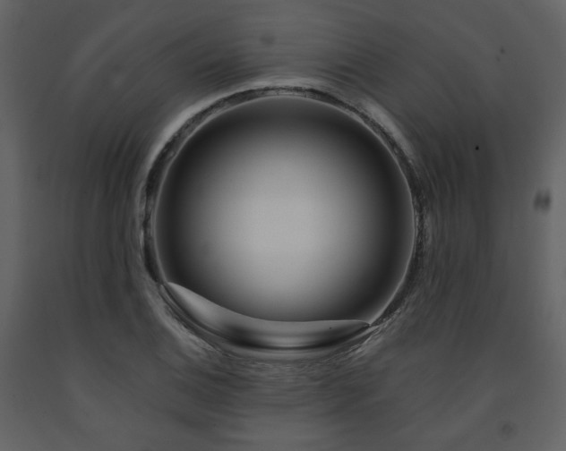X0000091721124200708241343