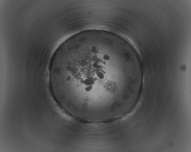 X0000091721125200708241343