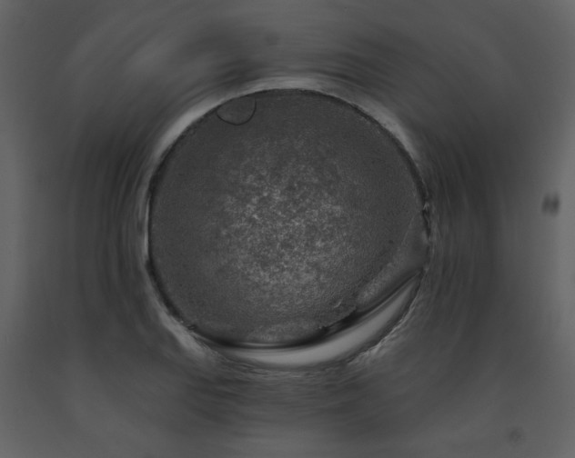 X0000091721127200708241343