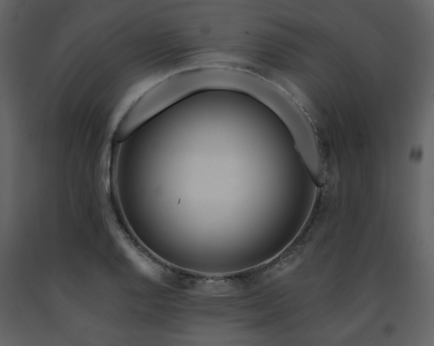 X0000091721128200708241343