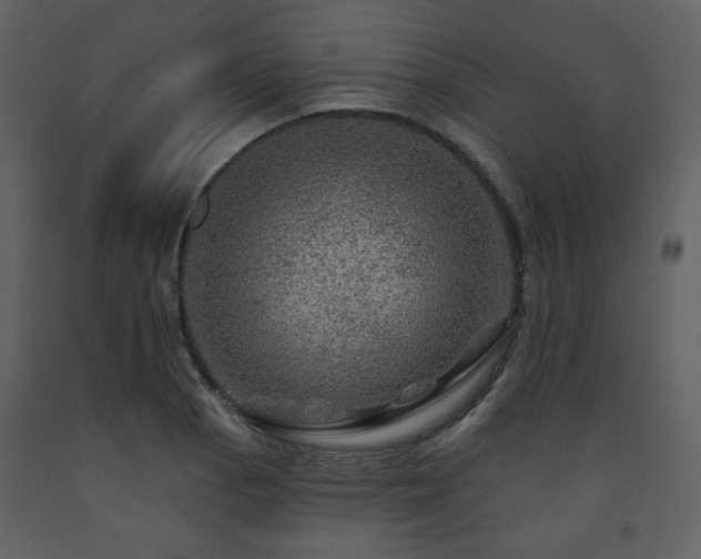 X0000091721129200708241343