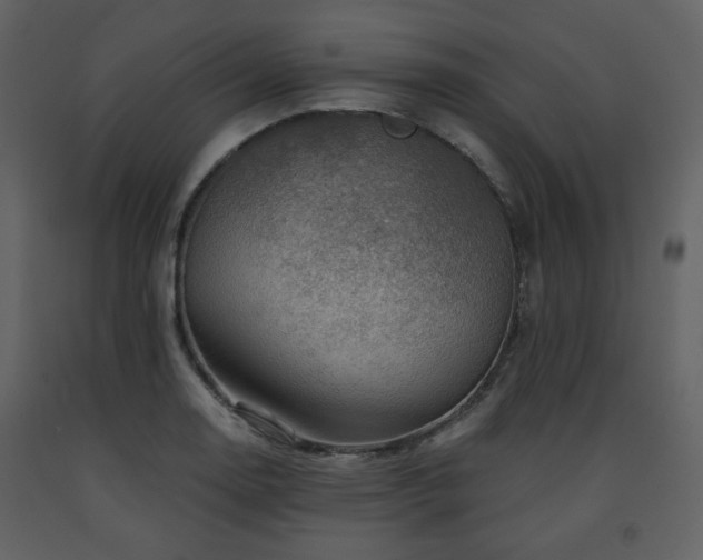 X0000091721130200708241343