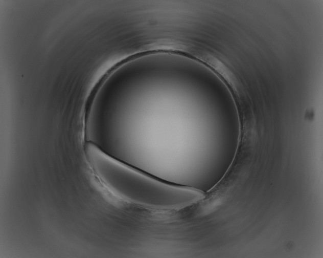 X0000091721132200708241343