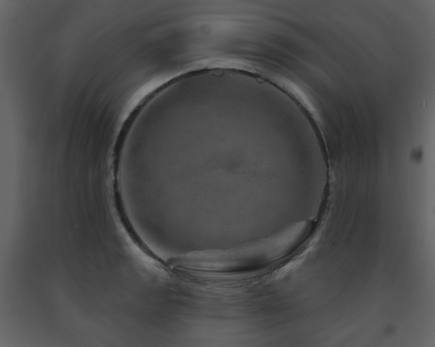 X0000091721133200708241343