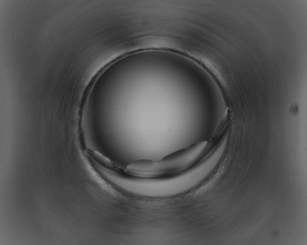 X0000091721134200708241343