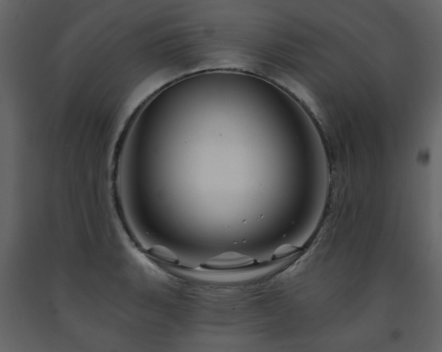 X0000091721135200708241343