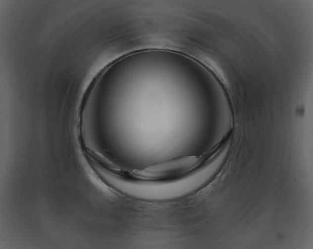 X0000091721136200708241343
