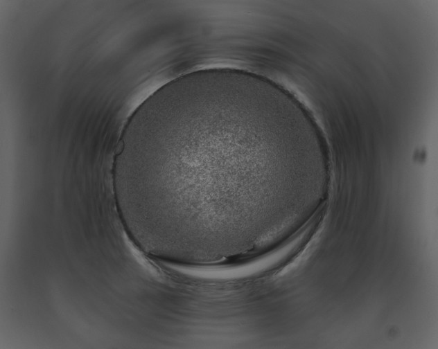 X0000091721137200708241343