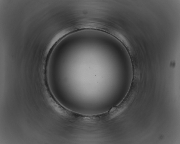 X0000091721138200708241343