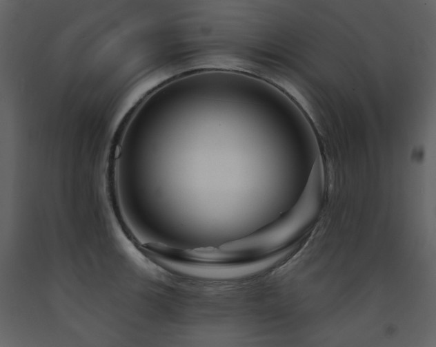 X0000091721139200708241343