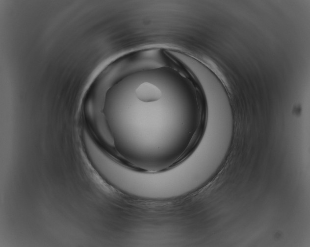 X0000091721140200708241343