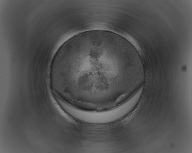 X0000091721142200708241343