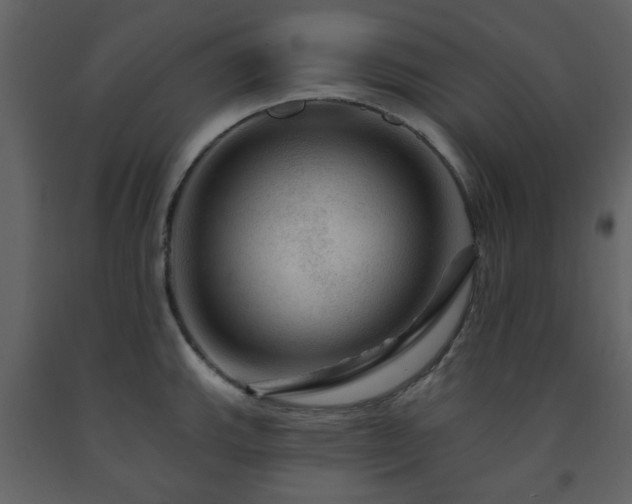 X0000091721143200708241343
