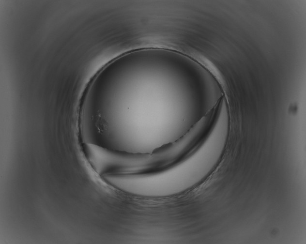 X0000091721144200708241343