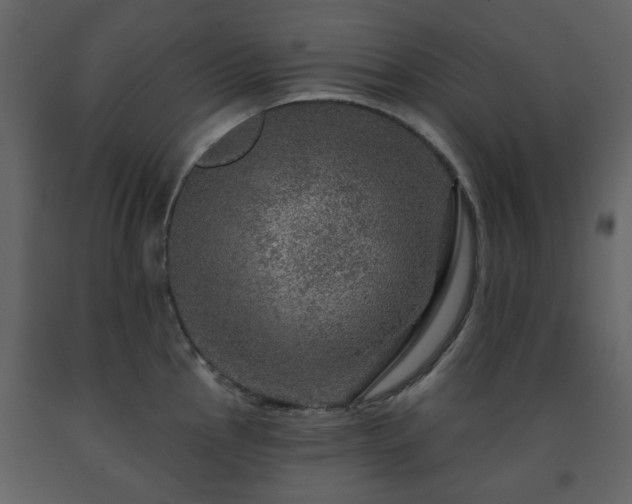 X0000091721145200708241343