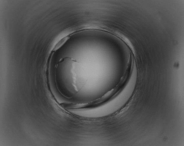 X0000091721146200708241343