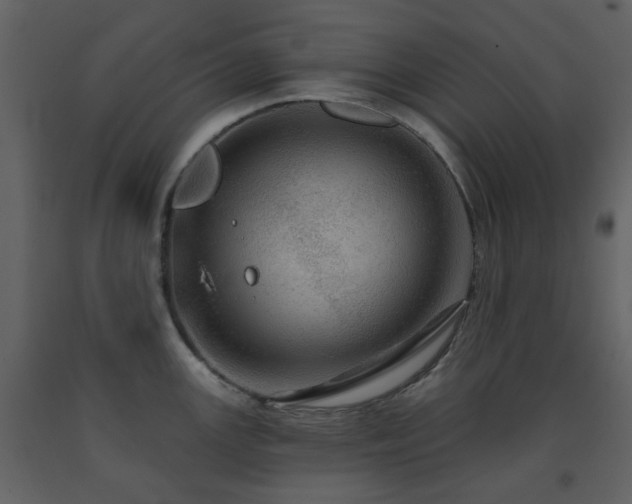 X0000091721147200708241343