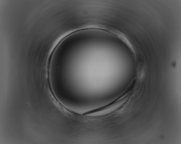 X0000091721148200708241343