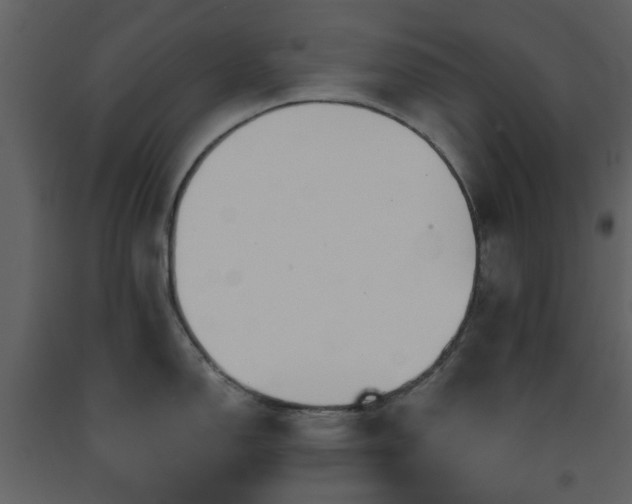 X0000091721150200708241343
