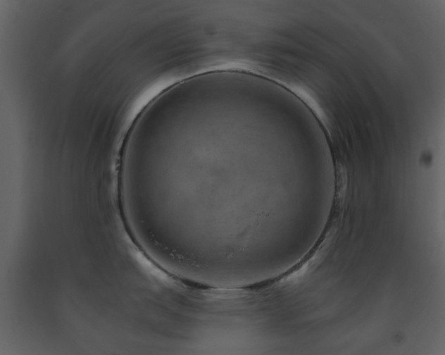 X0000091721151200708241343