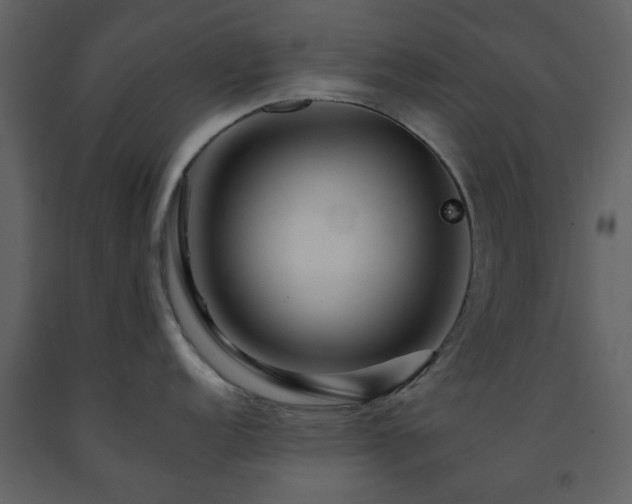 X0000091721152200708241343