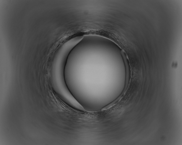 X0000091721153200708241343