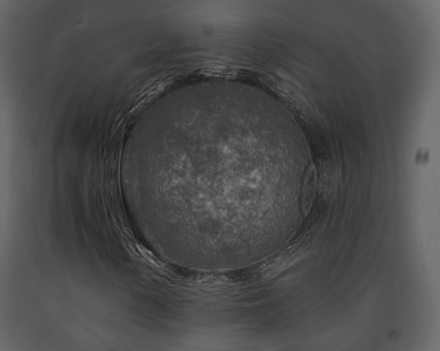 X0000091721154200708241342