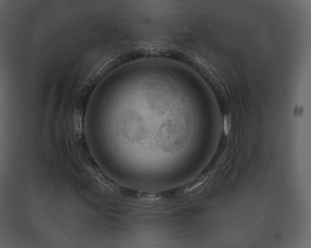 X0000091721155200708241342