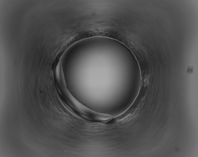 X0000091721156200708241342