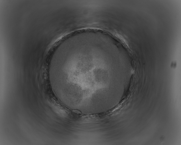 X0000091721159200708241342