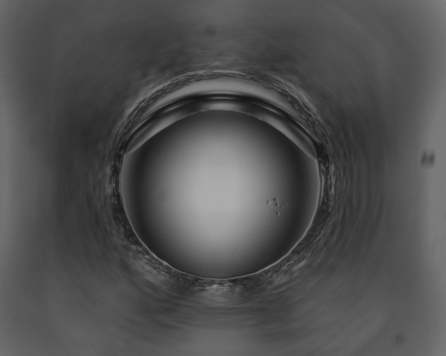 X0000091721160200708241342