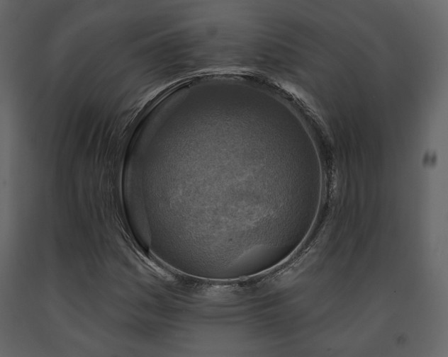X0000091721161200708241342