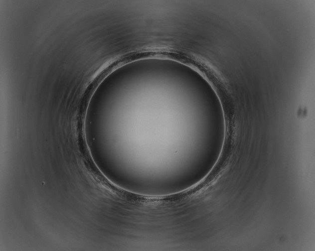 X0000091721162200708241342