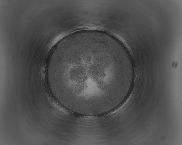 X0000091721163200708241342