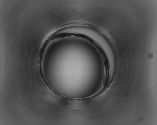 X0000091721164200708241342