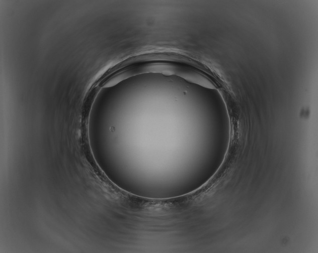 X0000091721165200708241342