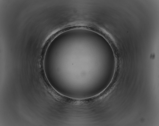 X0000091721166200708241342