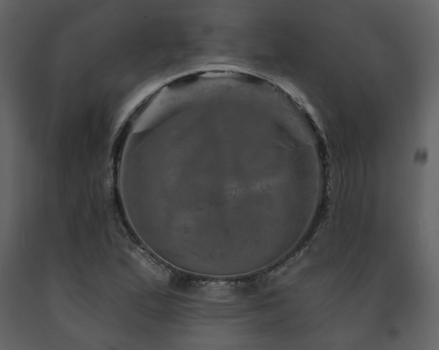 X0000091721167200708241342