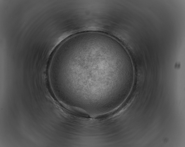 X0000091721170200708241342