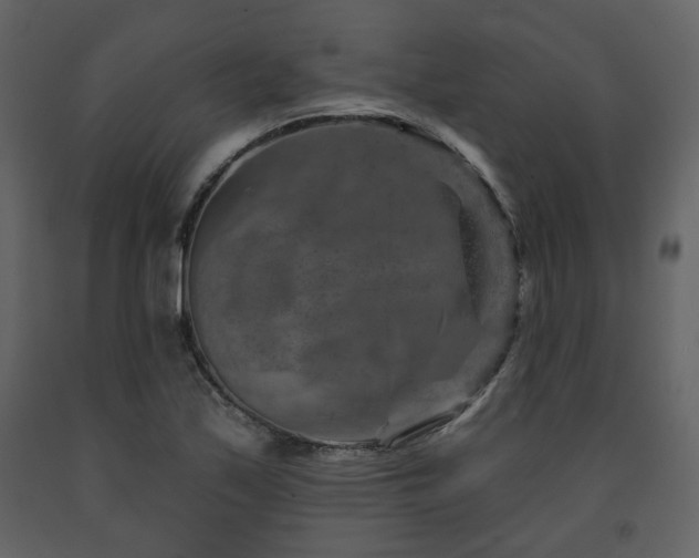 X0000091721171200708241342