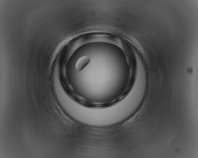 X0000091721172200708241342