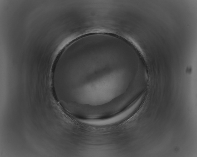 X0000091721173200708241342