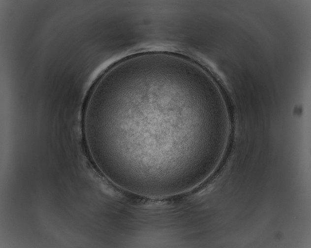 X0000091721174200708241342