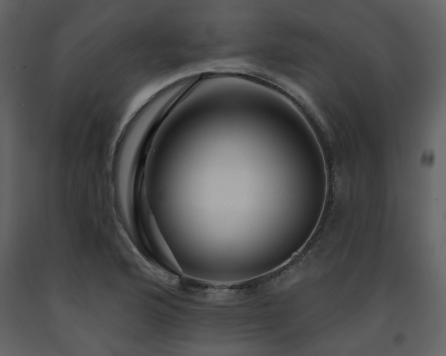 X0000091721176200708241342