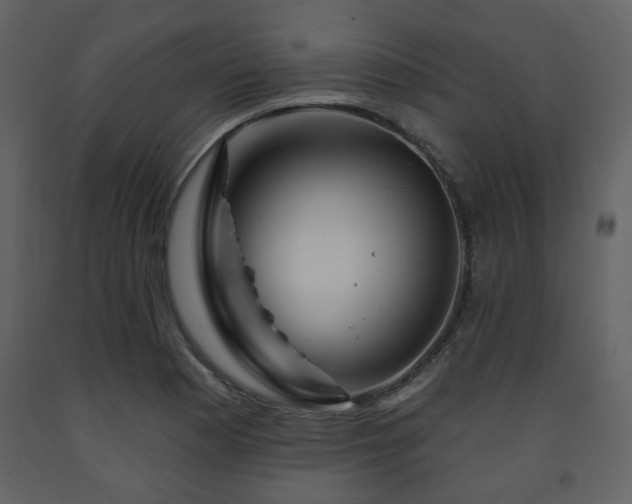 X0000091721177200708241342