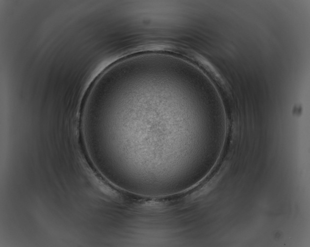 X0000091721178200708241342