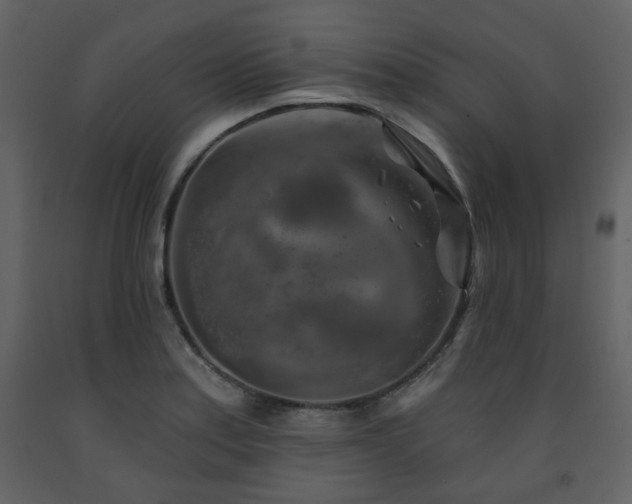 X0000091721179200708241342
