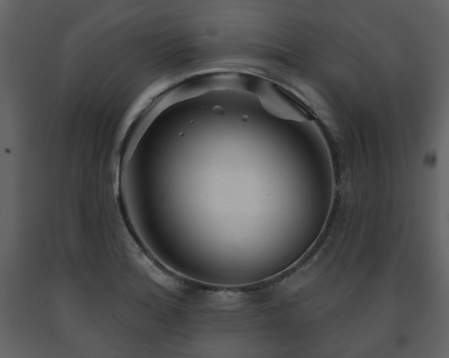 X0000091721180200708241342