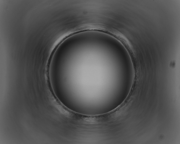 X0000091721182200708241342