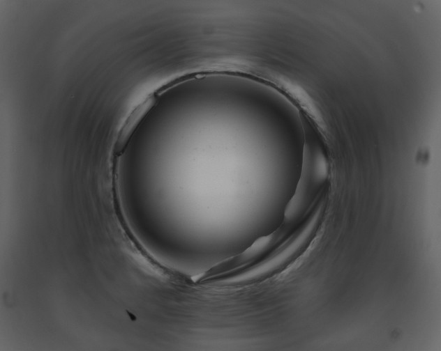 X0000091721184200708241342